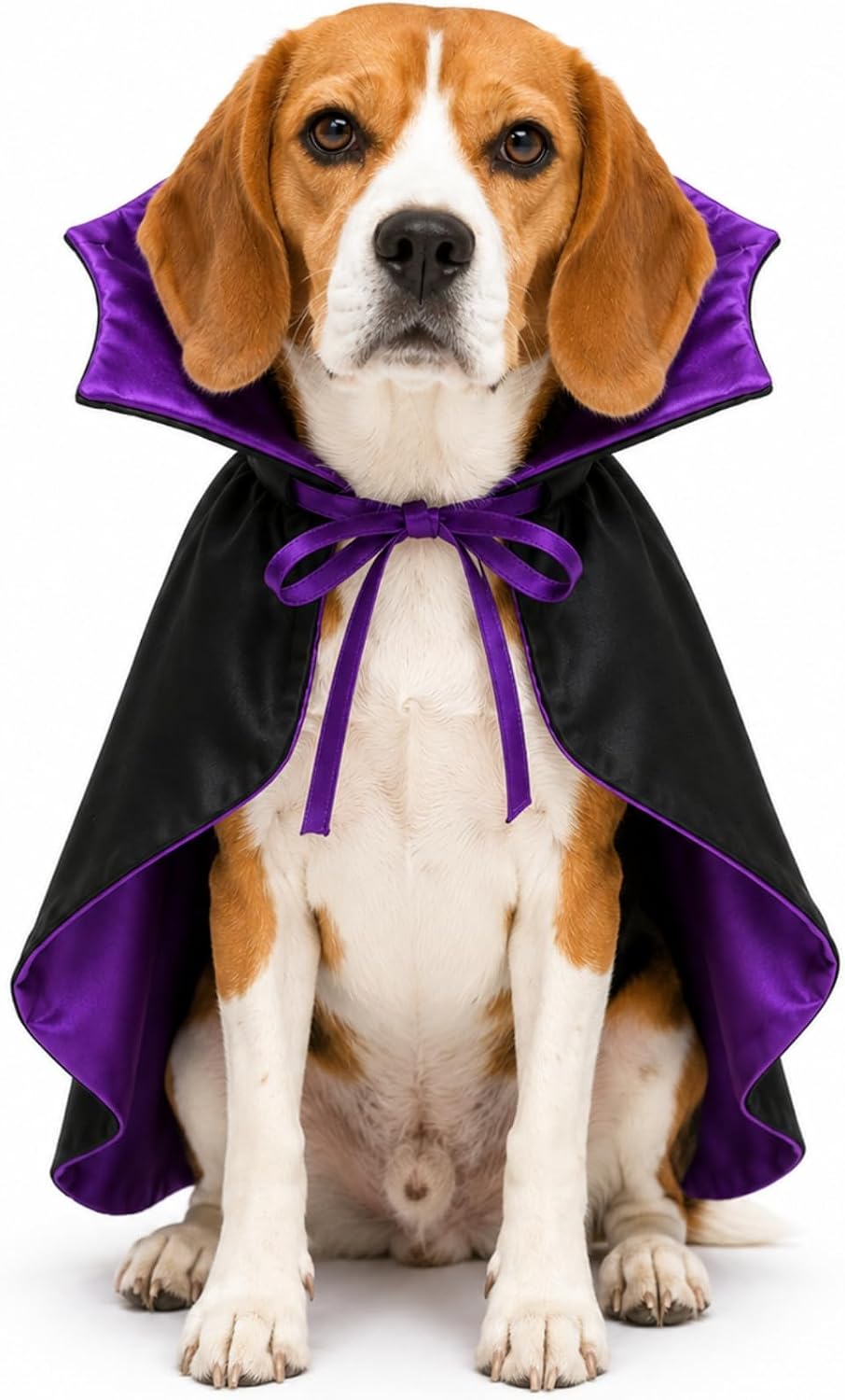 Legendary Vampire Cloak Dog Costumes Medium — WeirdThingsToBuy weird find