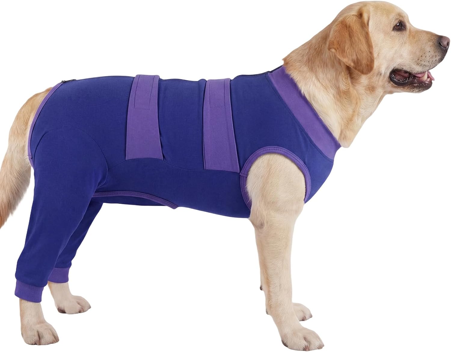 Lelepet Dog Body Suits After Energy — WeirdThingsToBuy weird find