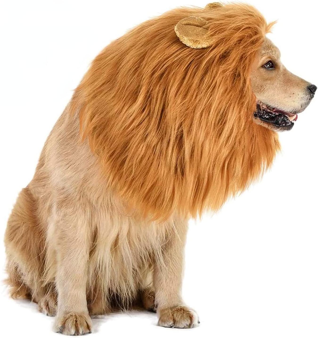Lion Mane Dog Costumes Realistic — WeirdThingsToBuy weird find