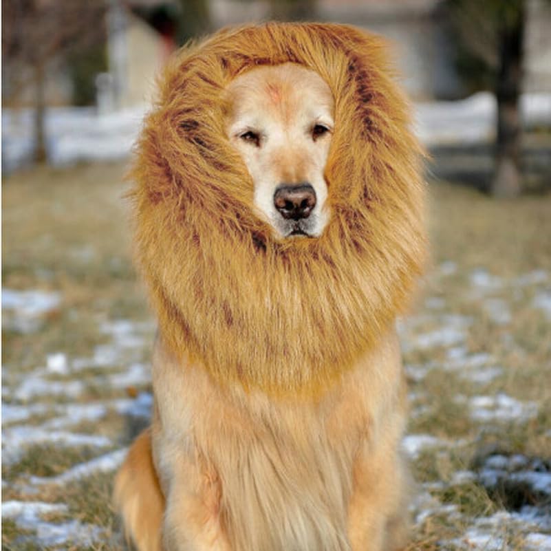 Lion Mane Dog Pet Dog — WeirdThingsToBuy weird find