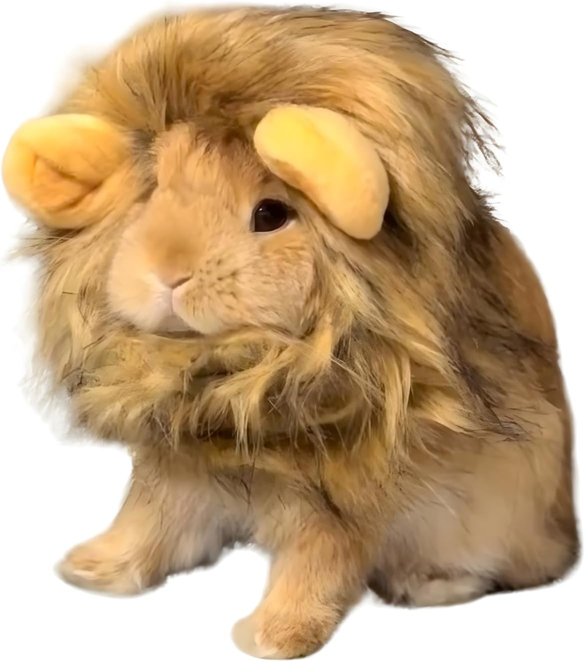 Lion Mane Wig Rabbit Cat — WeirdThingsToBuy weird find