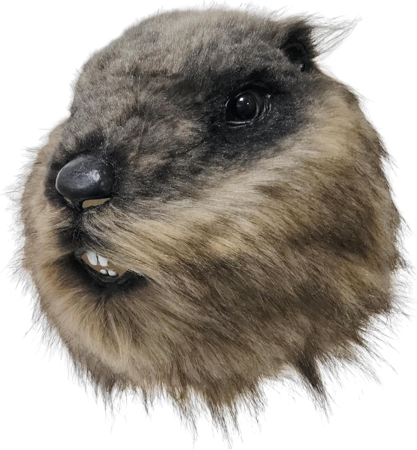 Luxurious Plush Animal Groundhog Latex Situation — WeirdThingsToBuy weird find