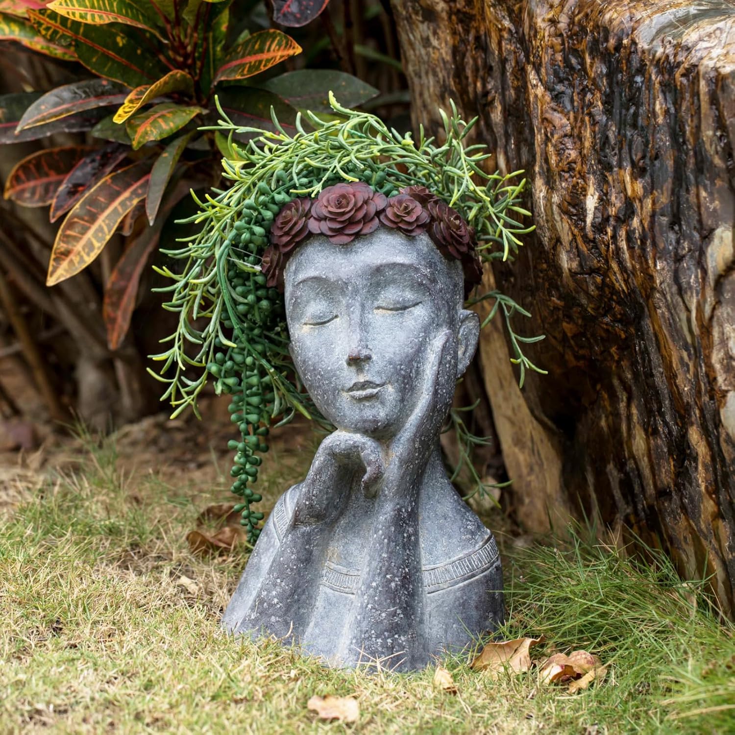 Newman House Studio Succulents Face Situation — WeirdThingsToBuy weird find