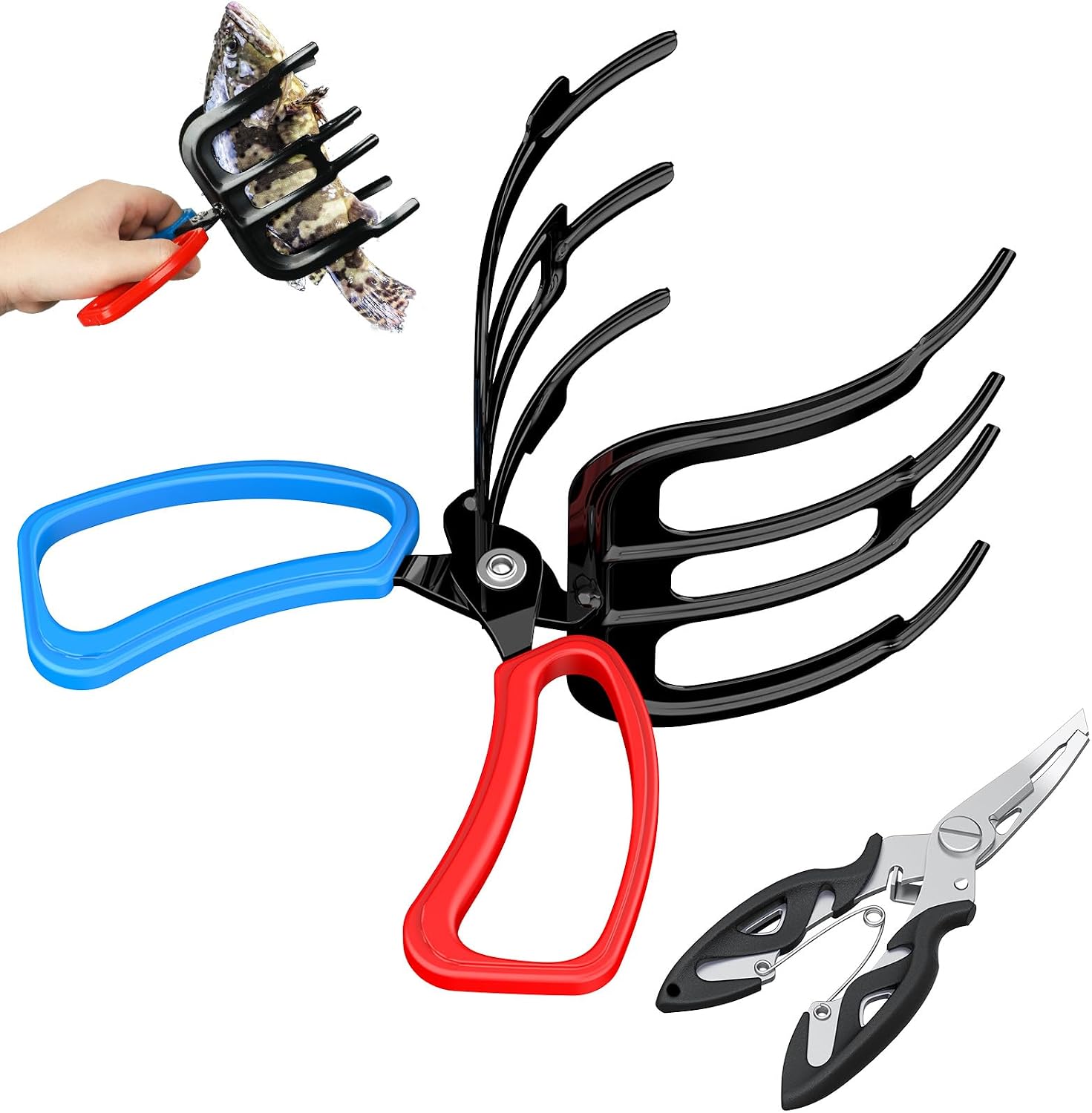 Pawfly 2 or 3 Claw Energy — WeirdThingsToBuy weird find