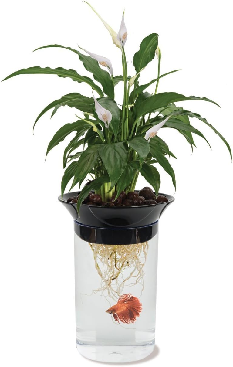 Penn — WeirdThingsToBuy weird find