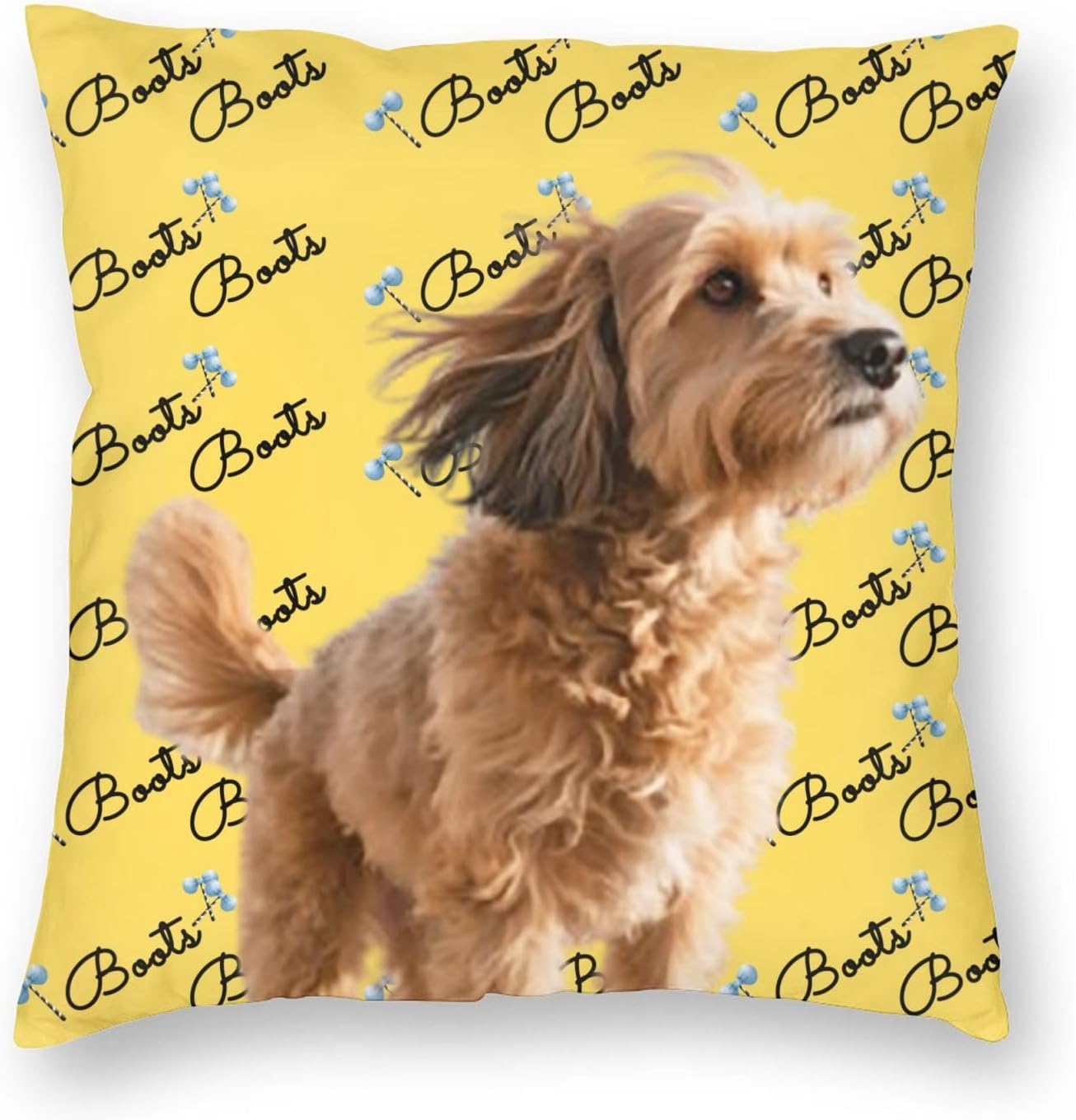 Personalized Pillows Pictures & Names — WeirdThingsToBuy weird find
