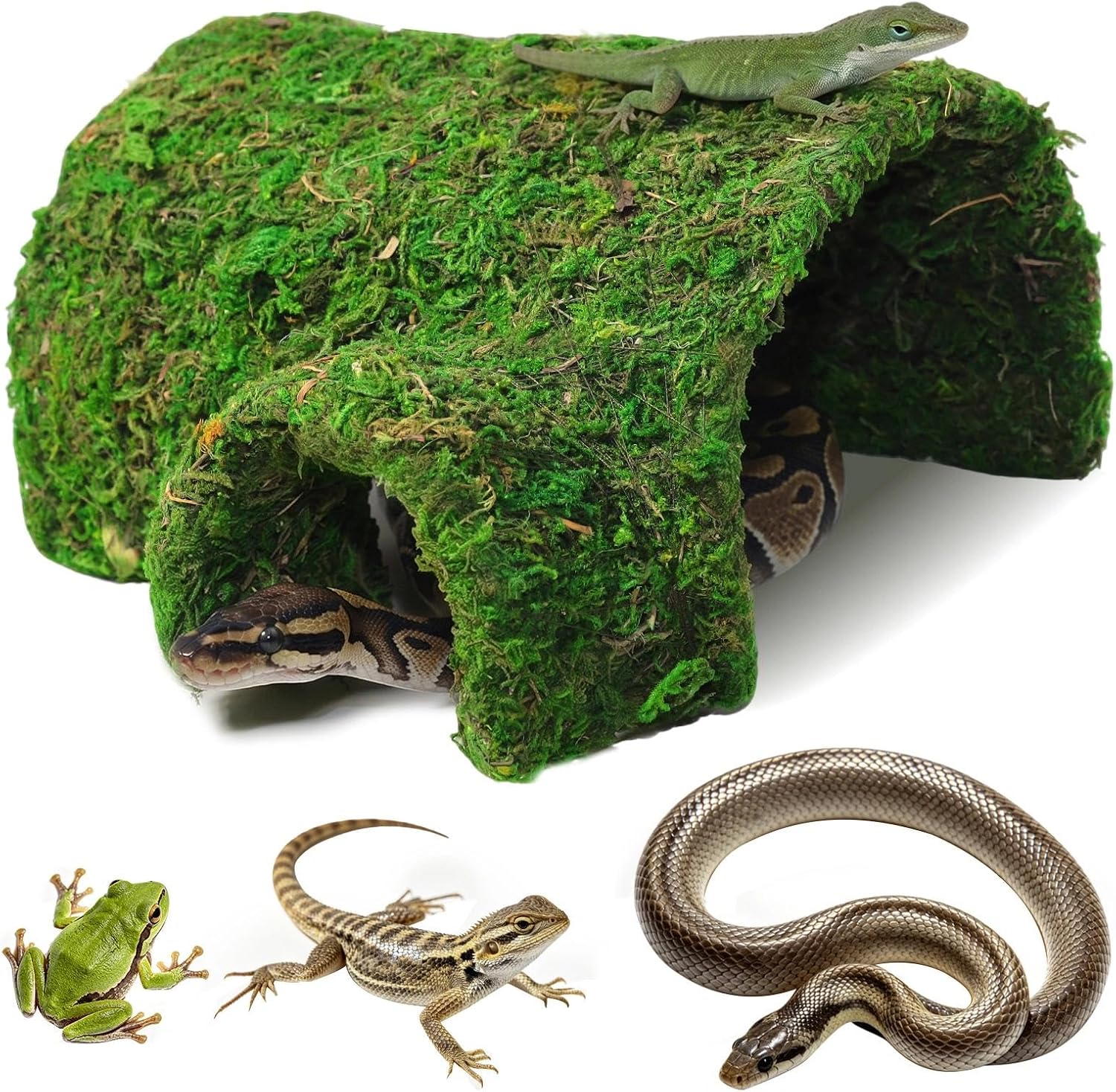 Reptile Tunnel Cave Hide Handmade Energy — WeirdThingsToBuy weird find