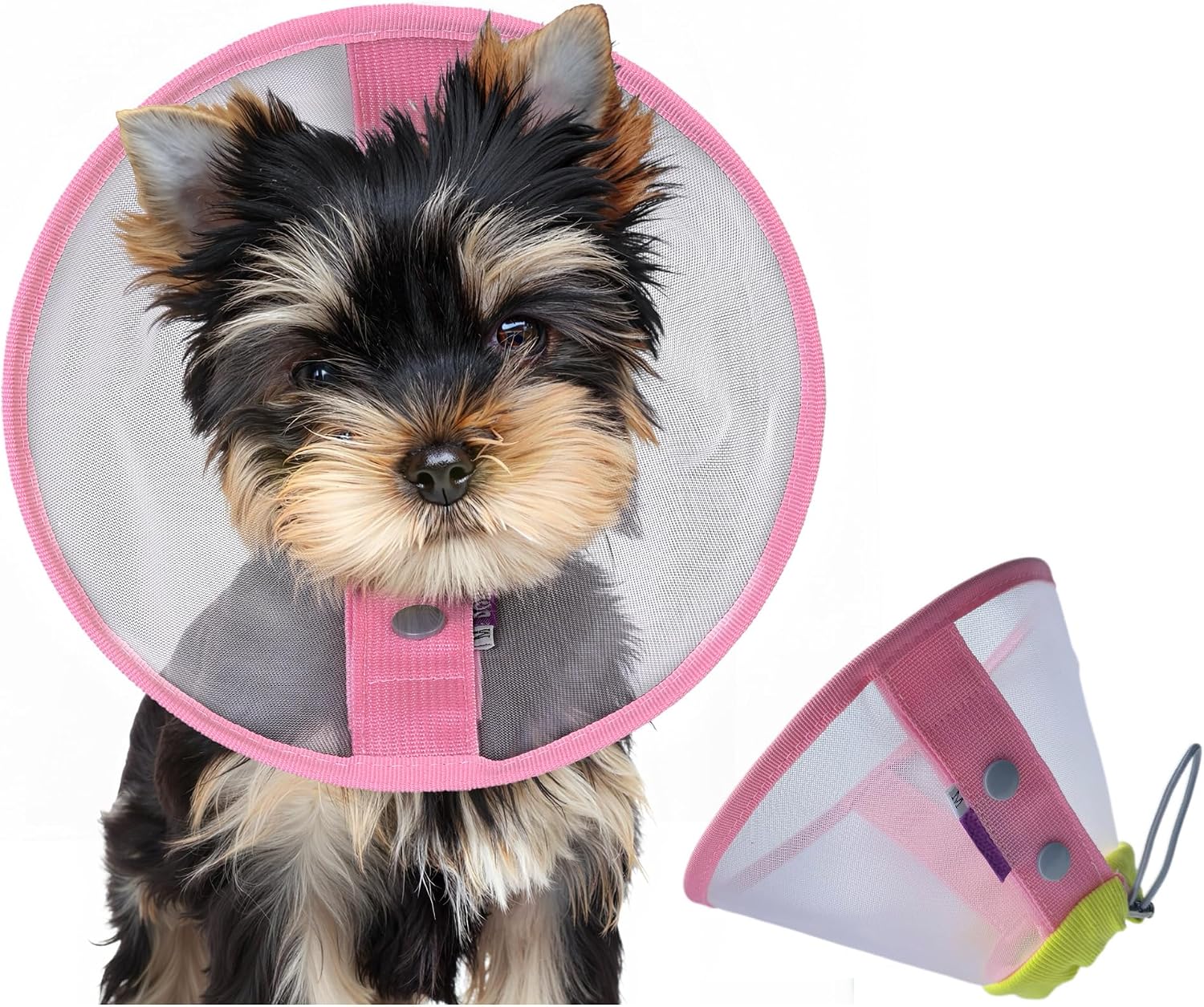 Soft Dog Cone Small Dogs Energy — WeirdThingsToBuy weird find