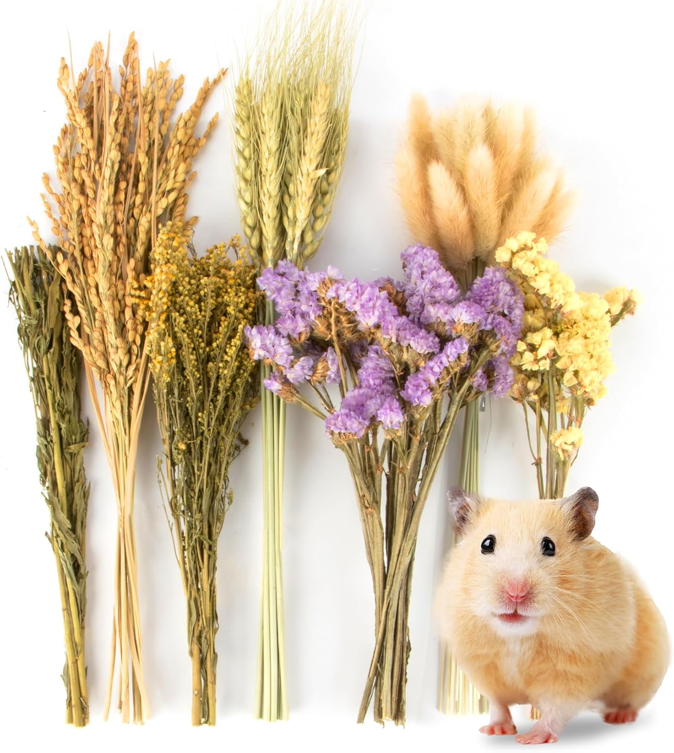 Sukh 60pcs Hamster Sprays Energy — WeirdThingsToBuy weird find