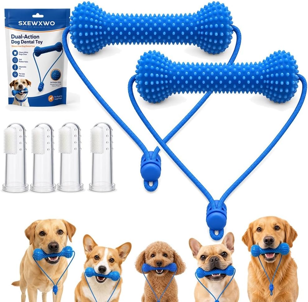 Sxewxwo Dual — WeirdThingsToBuy weird find