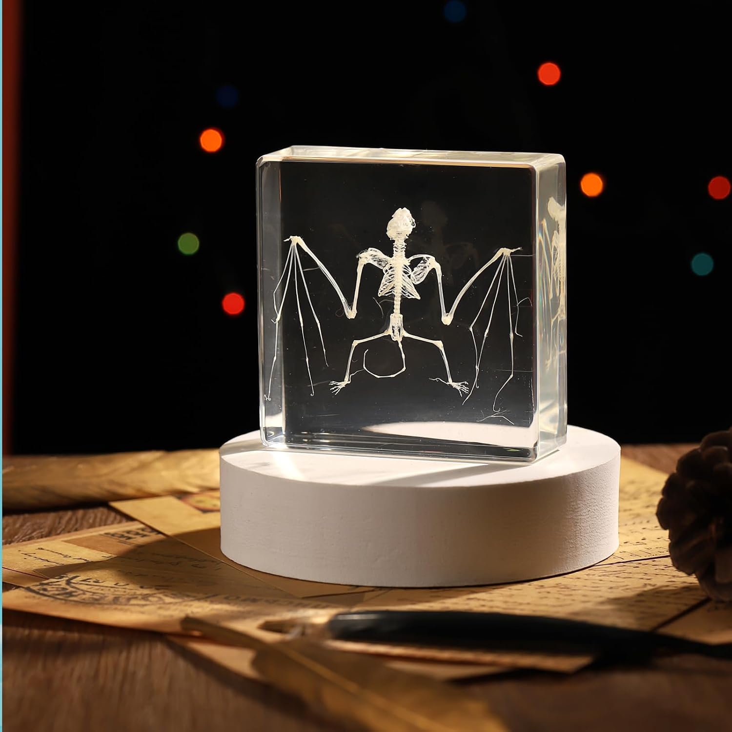 Taixdermy Bat Skeleton Specimen in Energy — WeirdThingsToBuy weird find