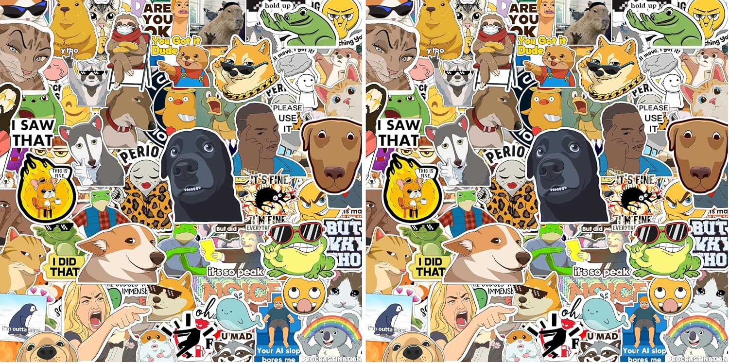 The 306pcs Funny Meme Vinyl Stickers — WeirdThingsToBuy weird find