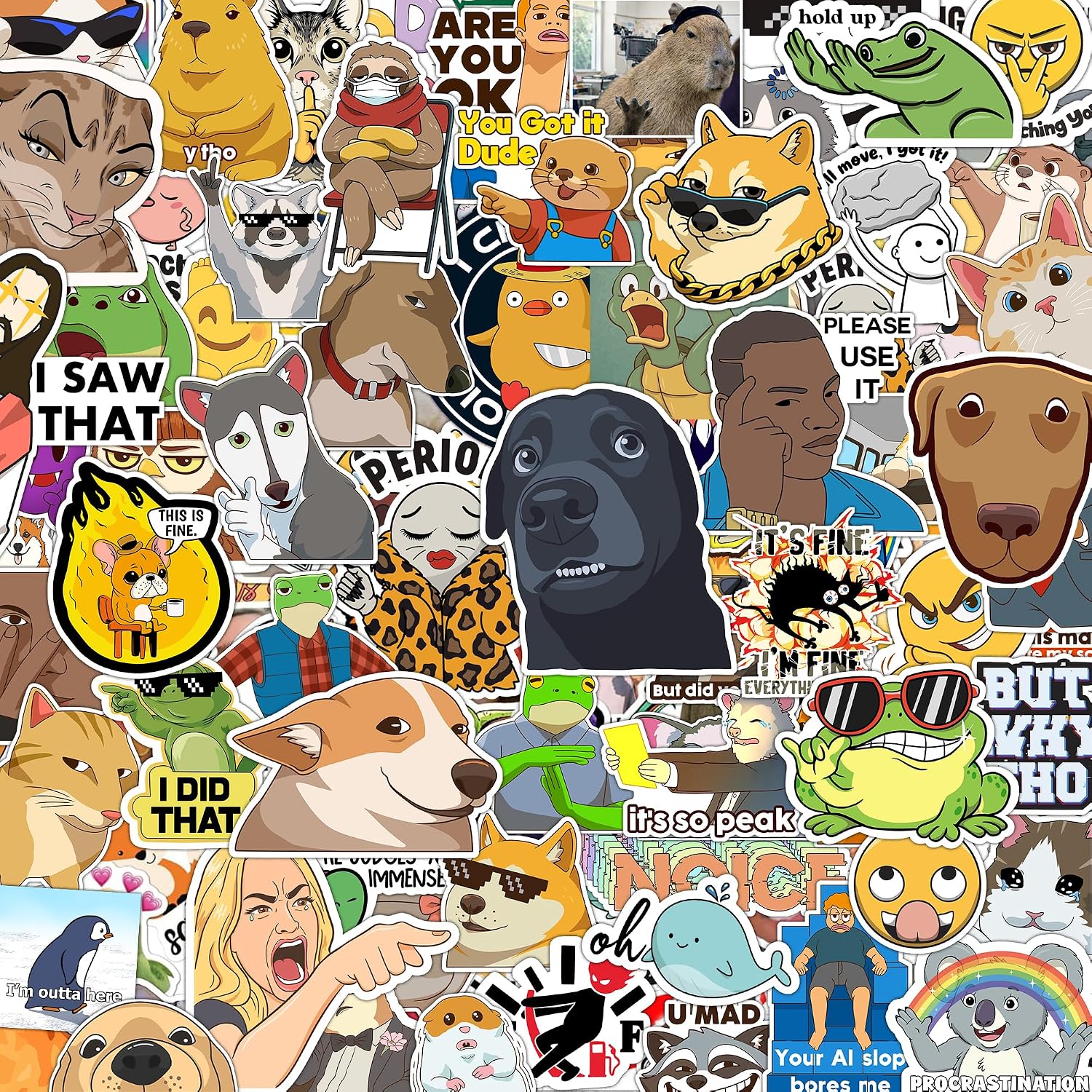 The 306pcs Funny Meme Vinyl Stickers — WeirdThingsToBuy weird find