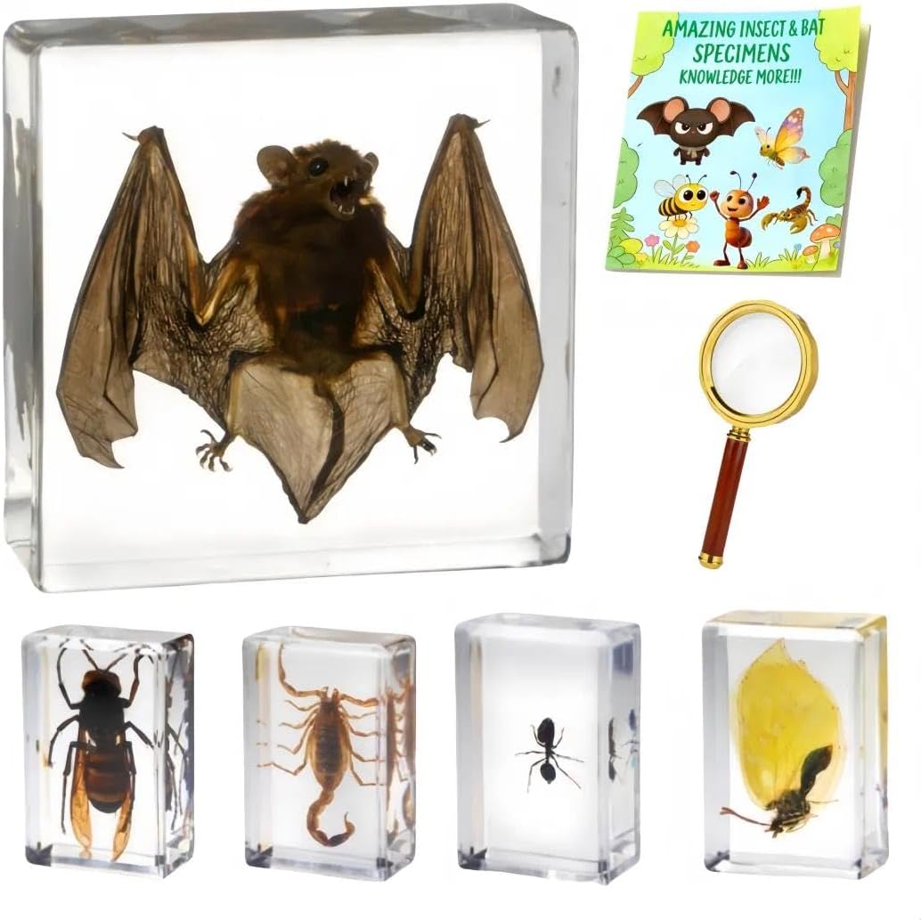 The 5 Resin Taxidermy Bats Bugs — WeirdThingsToBuy weird find