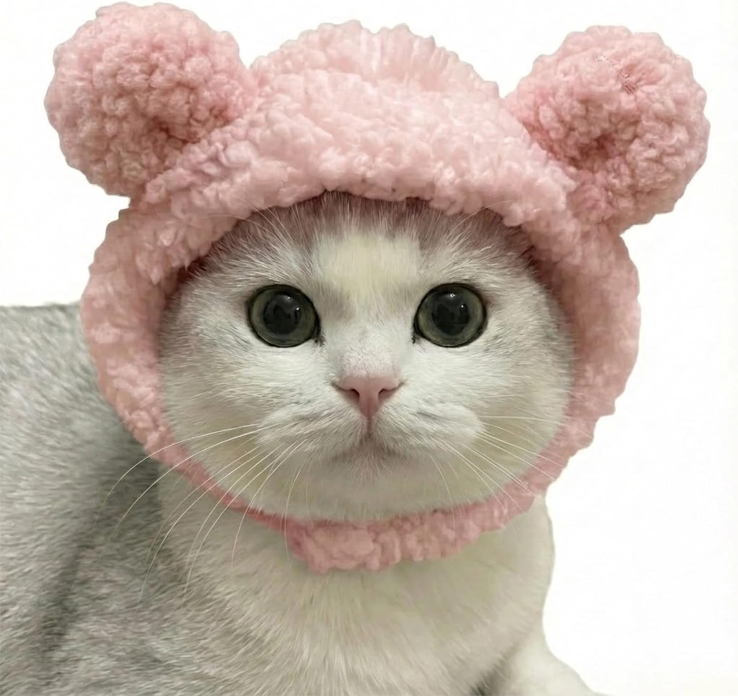 The Adorable Animal Pet Hats Soft — WeirdThingsToBuy weird find