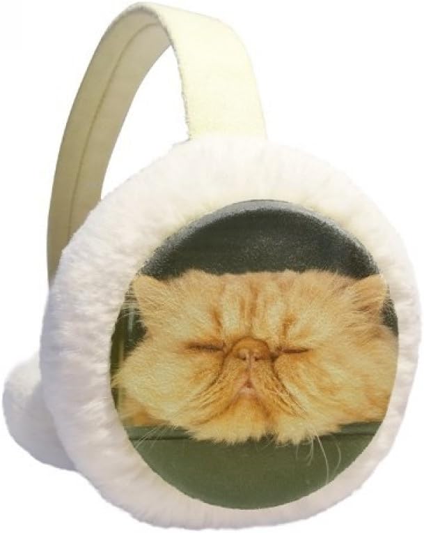 The Animal Funny Yellow Cat Shoot — WeirdThingsToBuy weird find