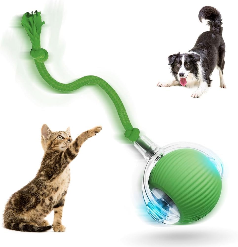 The Aulctr Upgrade Interactive Cat Toys — WeirdThingsToBuy weird find