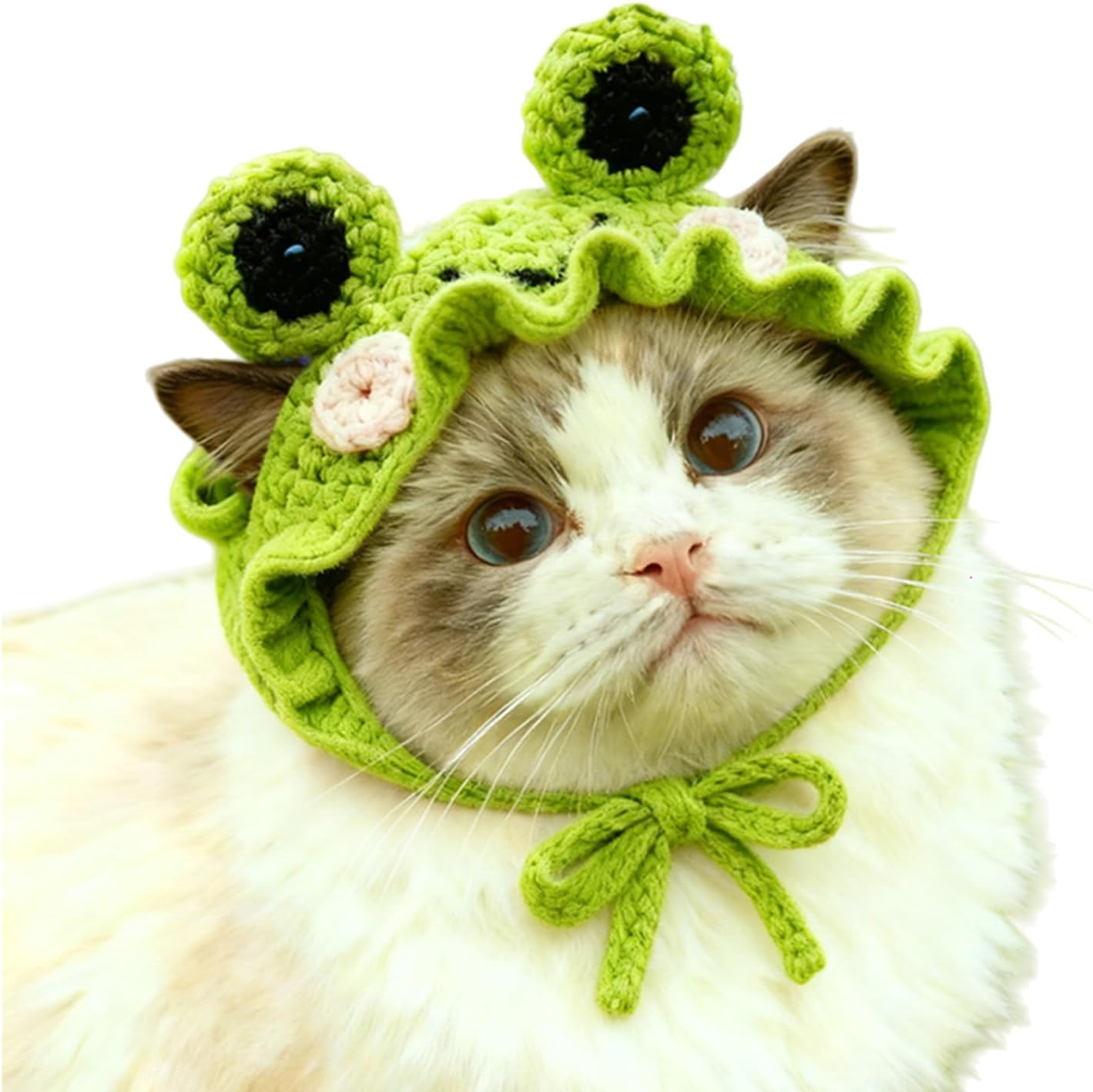 The Cute Cat Hat Costume Suitable — WeirdThingsToBuy weird find