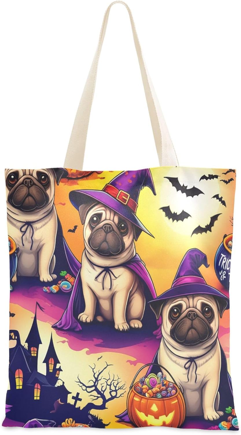 The Cute Dog in Witch Costume — WeirdThingsToBuy weird find