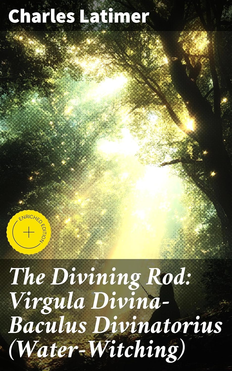 The Divining Rod Virgula Divina Situation — WeirdThingsToBuy weird find