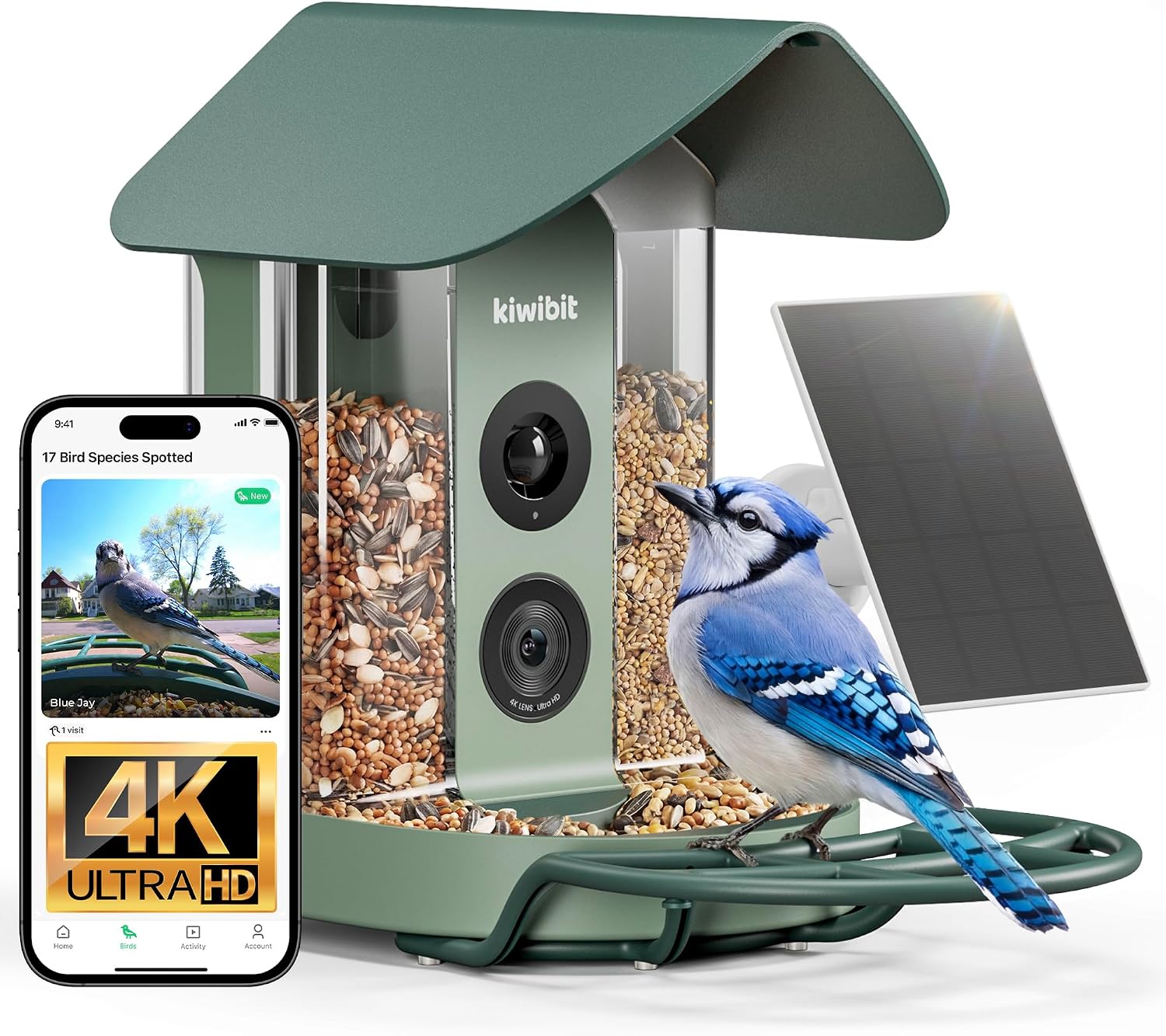The Kiwibit Bird Feeder Camera 4k — WeirdThingsToBuy weird find