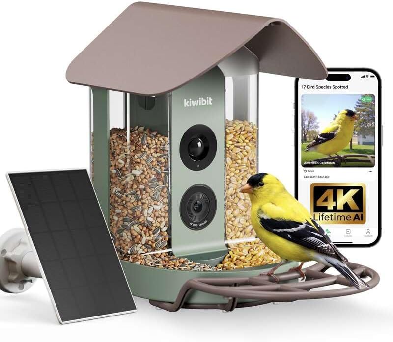 The Kiwibit Smart Bird Feeder 4k — WeirdThingsToBuy weird find