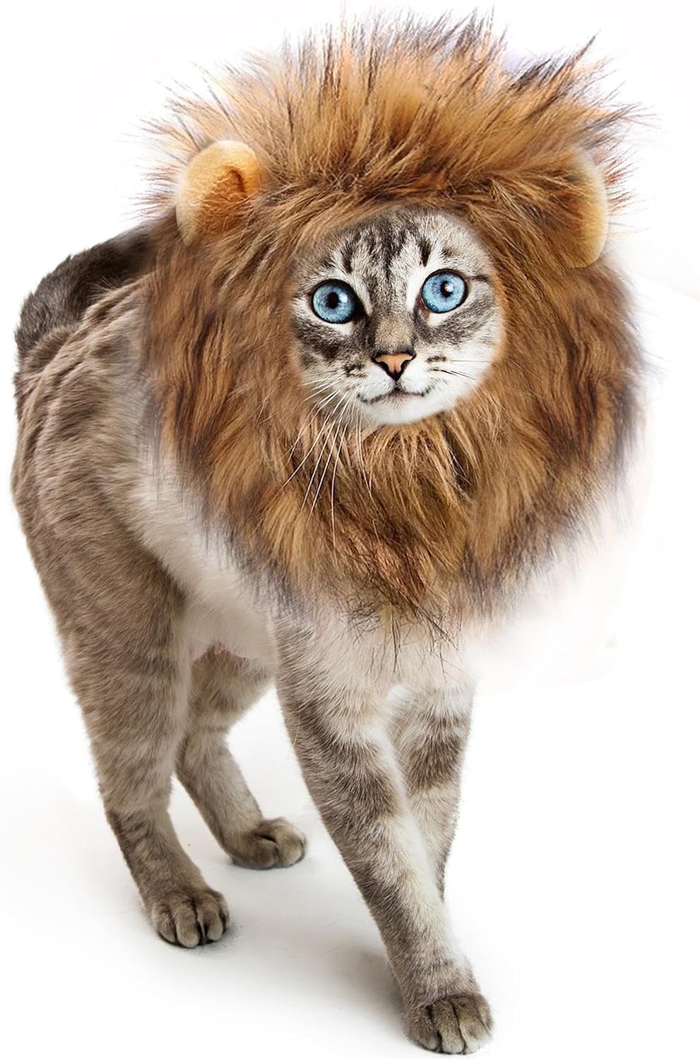 The Lion Mane Wig Cat Costume — WeirdThingsToBuy weird find