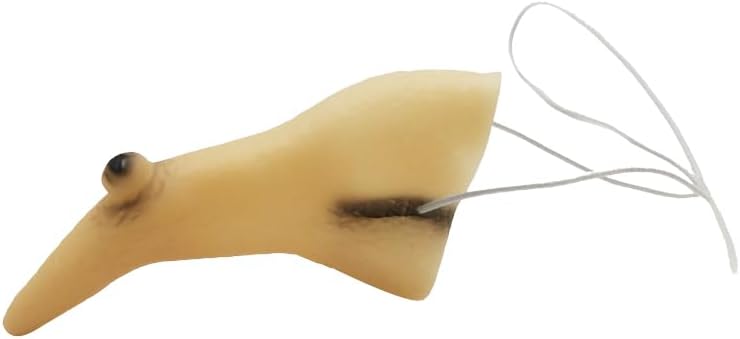 The Wicked Witch Nose Fake Nose — WeirdThingsToBuy weird find