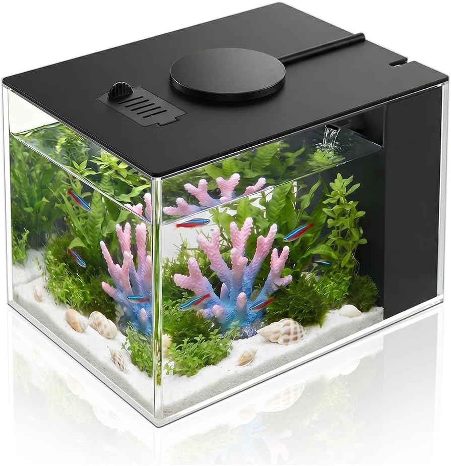 Unnecessary 1 Gallon Fish Tank Betta — WeirdThingsToBuy weird find