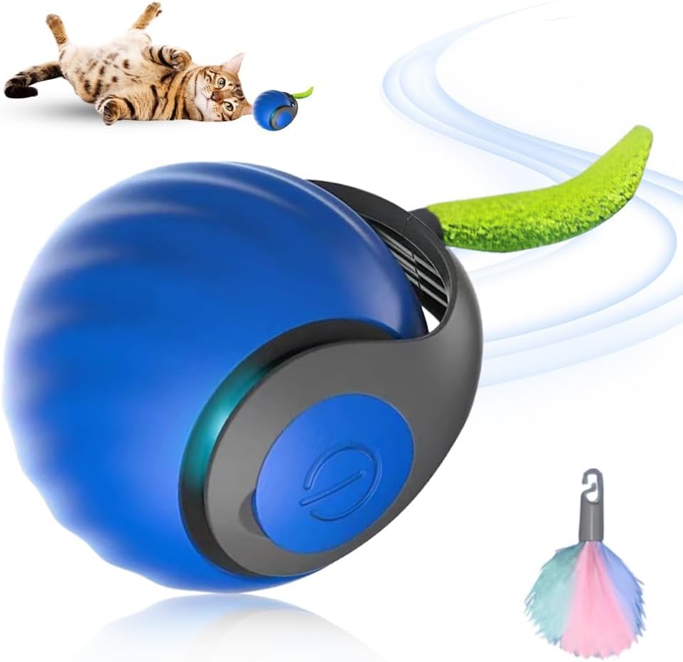 Unnecessary Aulctr Upgrade Speedy 3 0 — WeirdThingsToBuy weird find