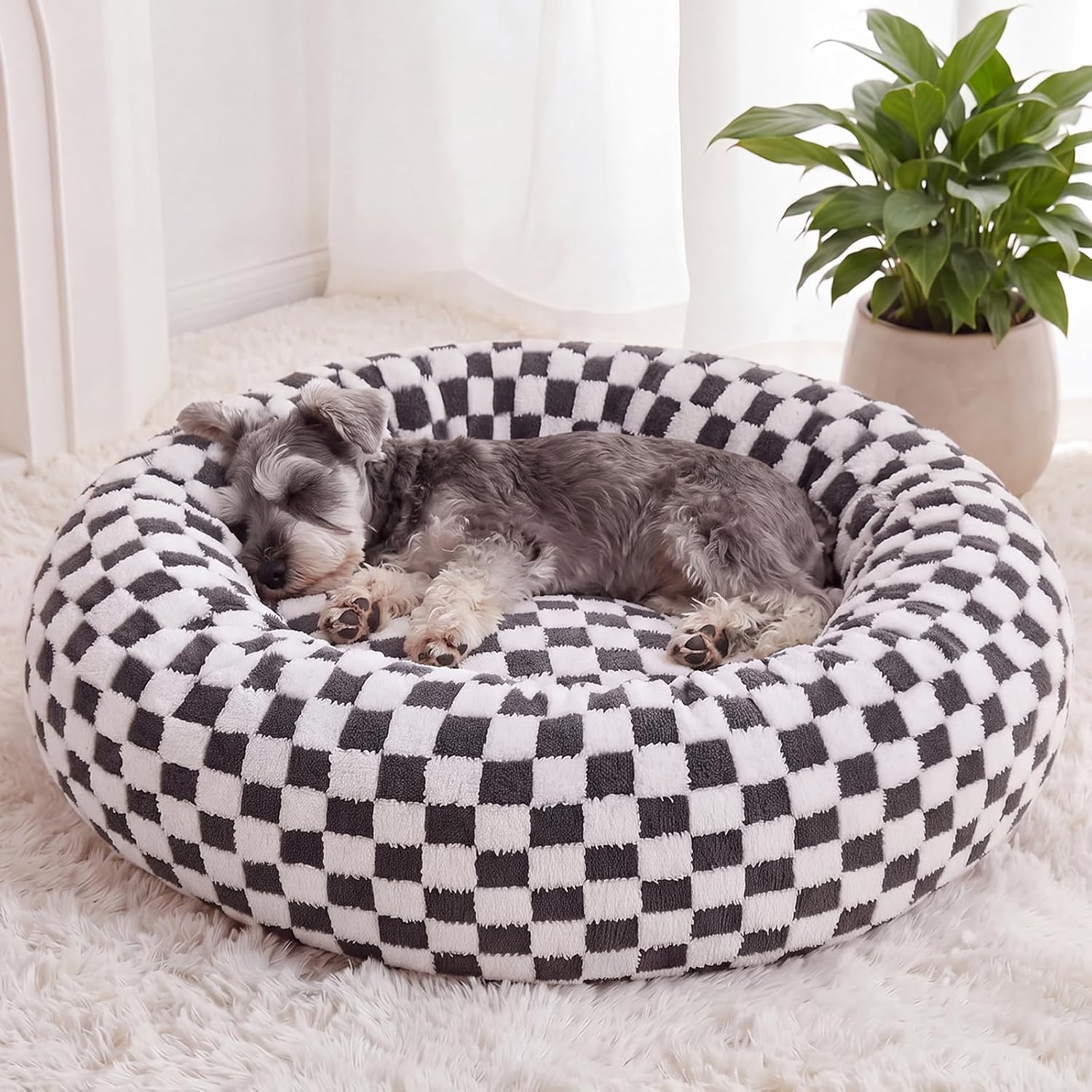 Unnecessary Bfpethome Small Washable Cozy Donut — WeirdThingsToBuy weird find