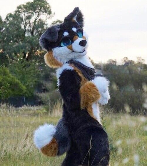 Unnecessary Black Brown Long Fur Husky — WeirdThingsToBuy weird find