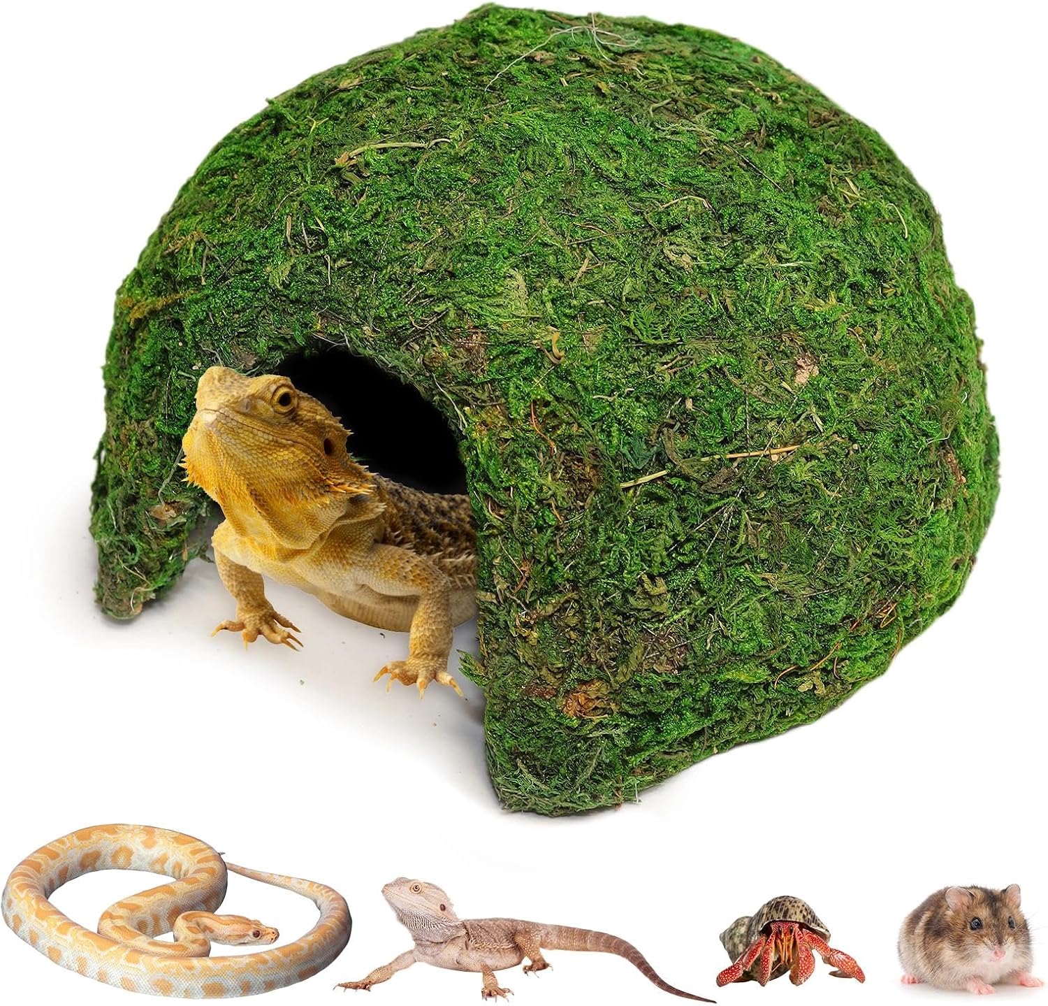 Unnecessary Hollima Reptile Moss Hideout Half — WeirdThingsToBuy weird find