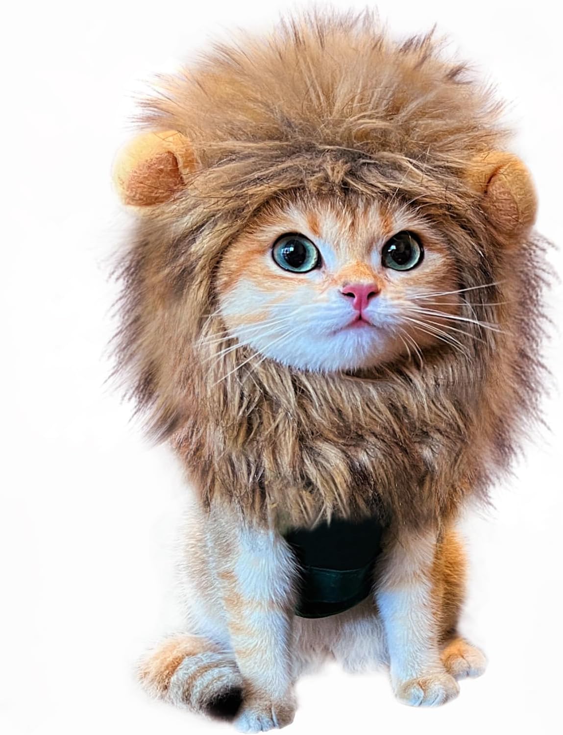 Unnecessary Lion Mane Wig Cat Costume — WeirdThingsToBuy weird find