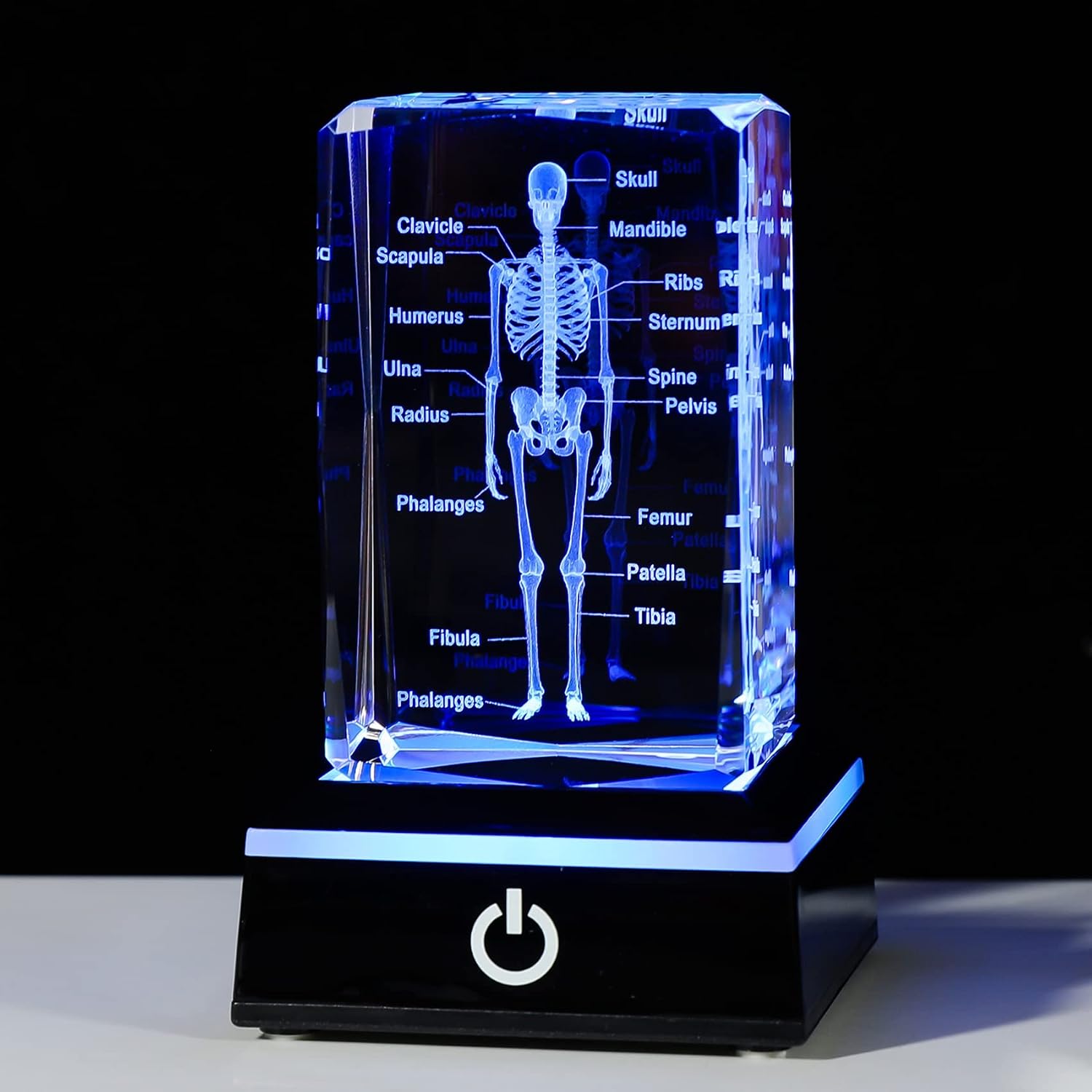 Unnecessary Movdyka 3d Human Skeleton Anatomy — WeirdThingsToBuy weird find