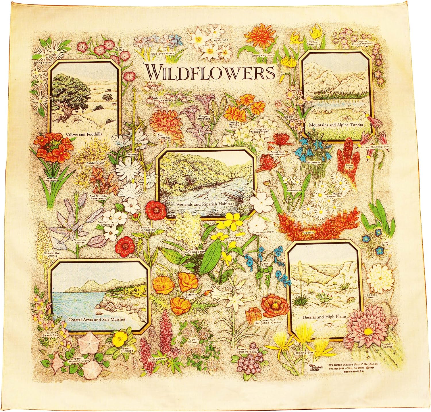 Unnecessary Printed Image Soo361 — WeirdThingsToBuy weird find