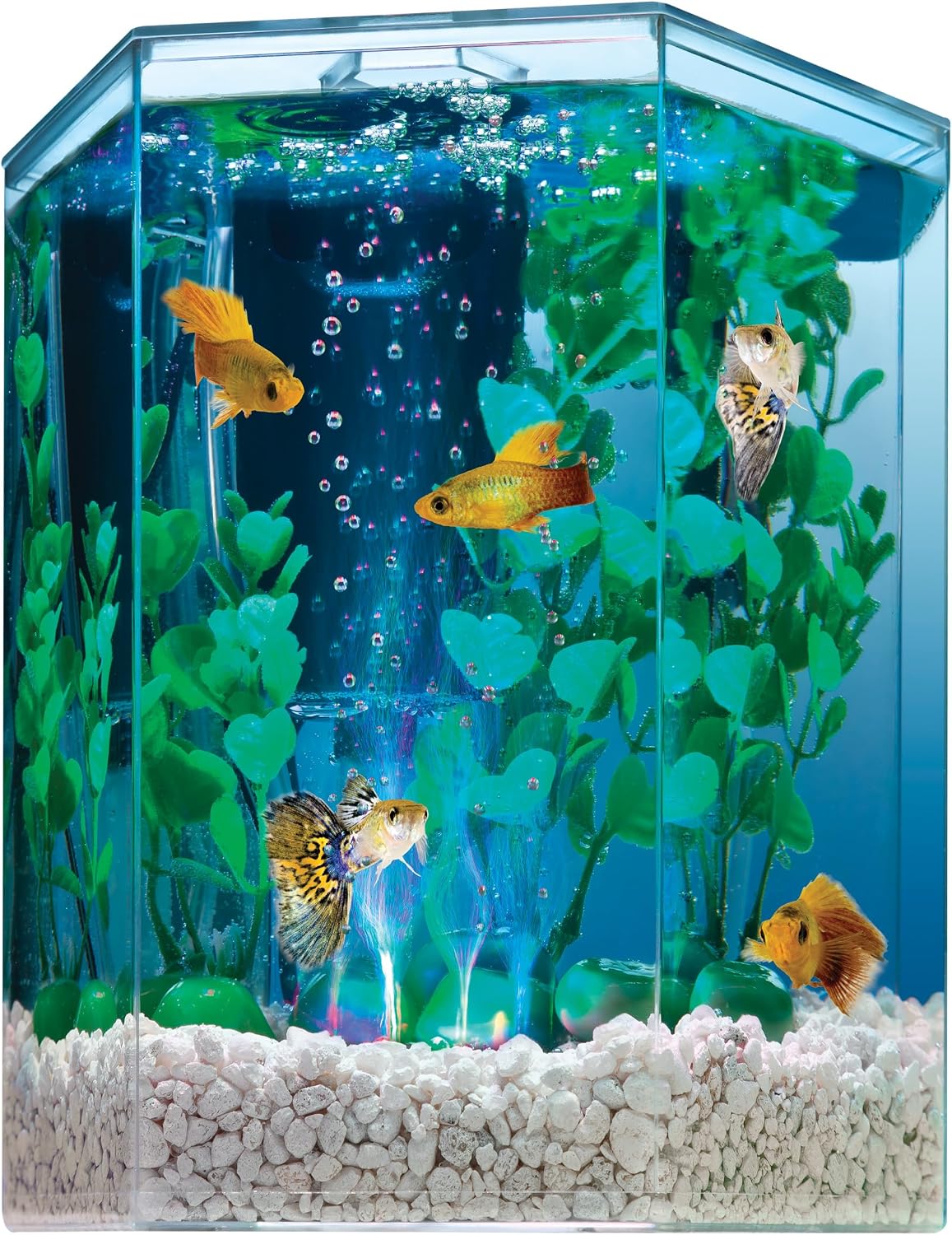 Unnecessary Tetra Starter 1 Gallon Small — WeirdThingsToBuy weird find