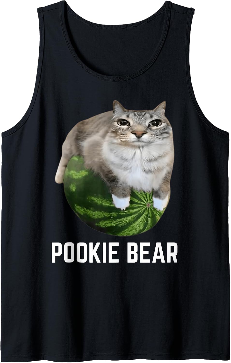 Unnecessary Watermelon Cat Meme Pookie Bear — WeirdThingsToBuy weird find