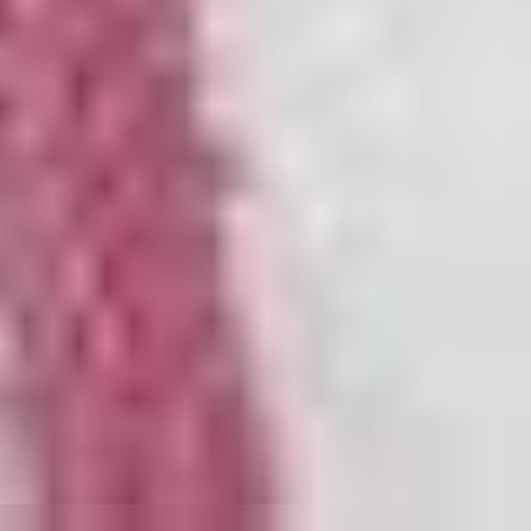 Unnecessary Whimsical Slipper Socks Women — WeirdThingsToBuy weird find