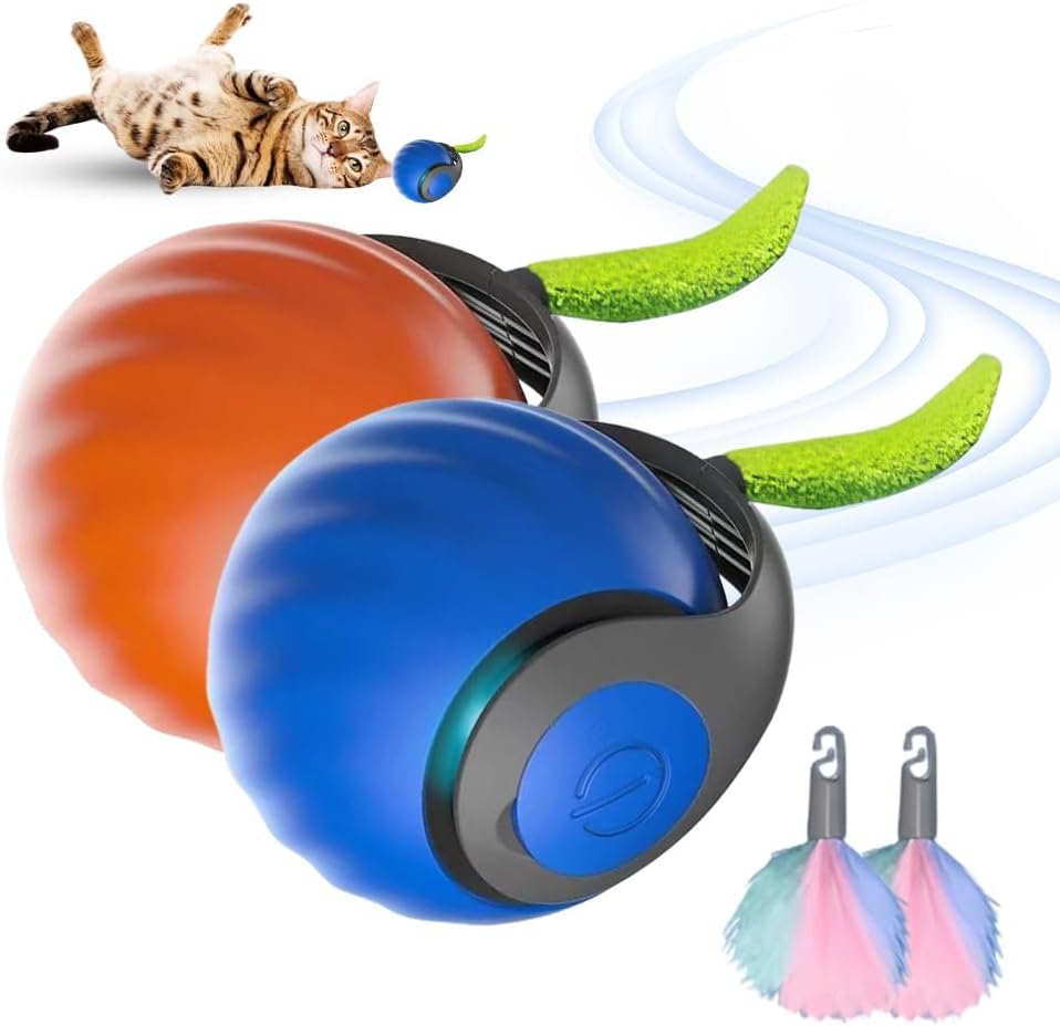 Upgrade Speedy 3 0 Tail Energy — WeirdThingsToBuy weird find