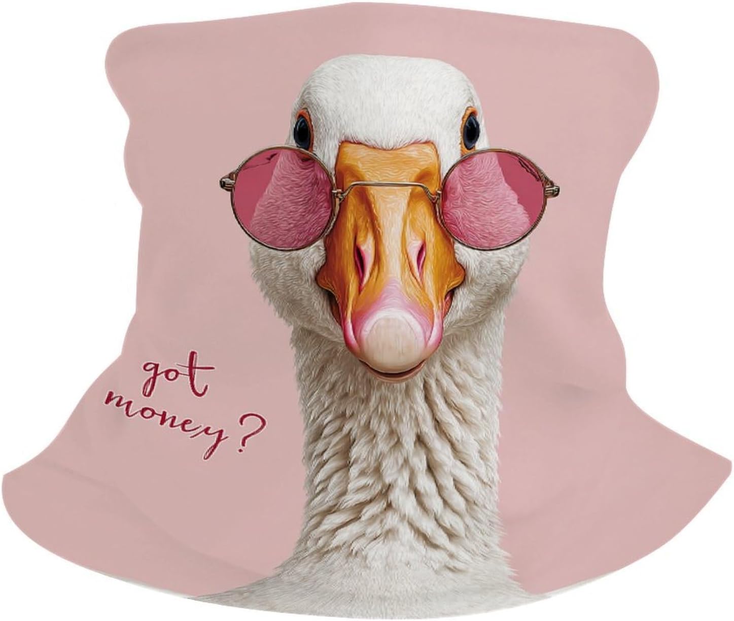 Whimsical Goose Sunglasses Saying Got — WeirdThingsToBuy weird find