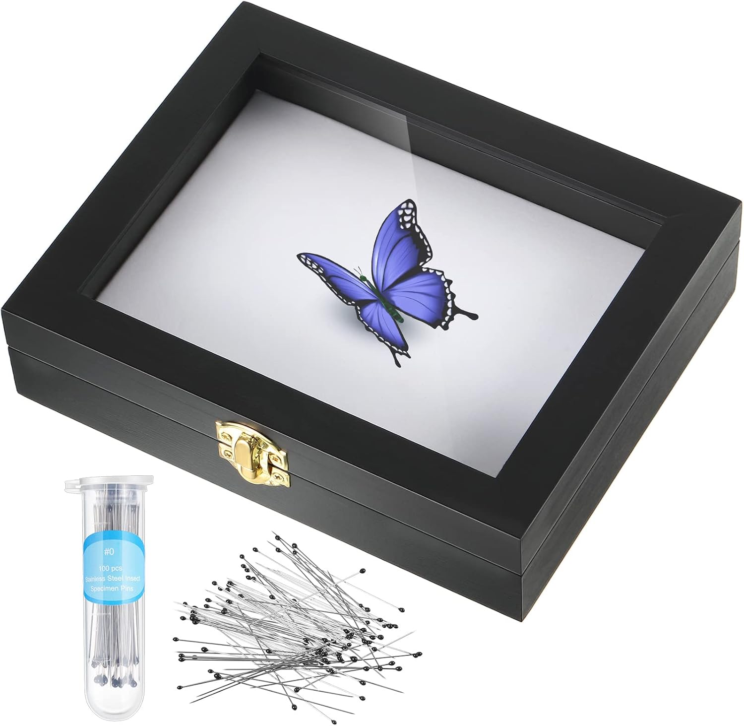 Willbond Insect Display Case Bug Situation — WeirdThingsToBuy weird find